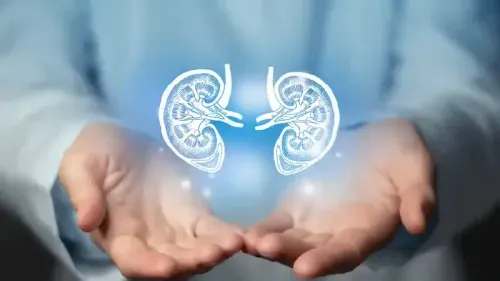  Causes, Symptoms and Treatment of Solitary Kidney